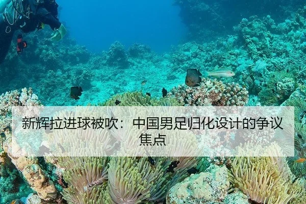 新辉拉进球被吹：中国男足归化设计的争议焦点